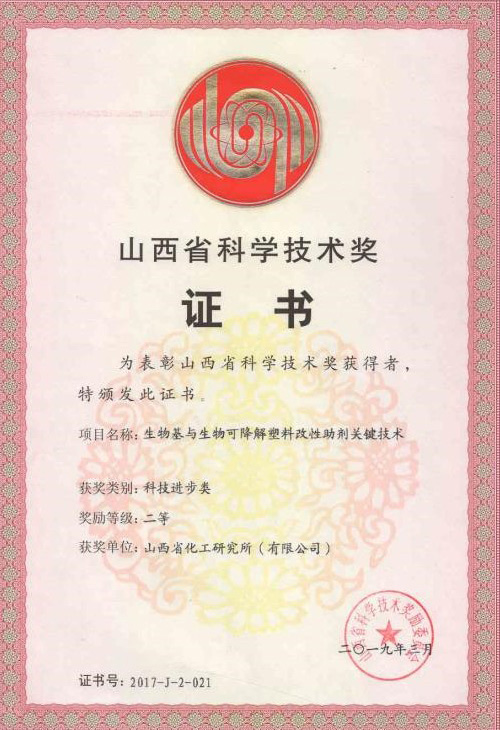 2019年