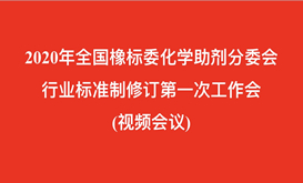 2020年全国橡标委化学助剂分委会四项行业标准制修订******次工作会议顺利召开
